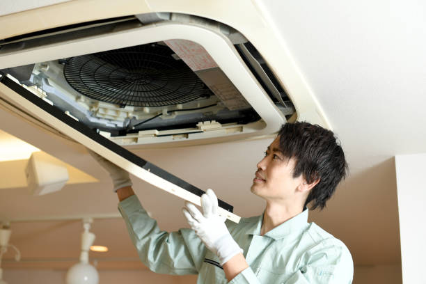 Air Duct Mold Removal in New Port Richey East, FL